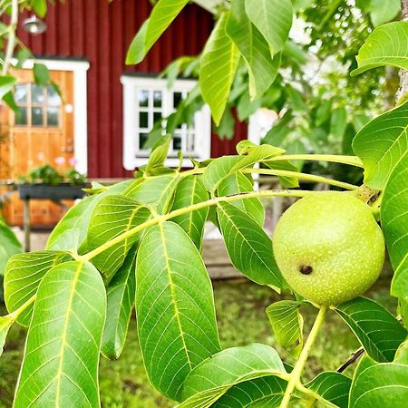 Holiday Home Malaretorpsvaegen Borgholm Εξωτερικό φωτογραφία